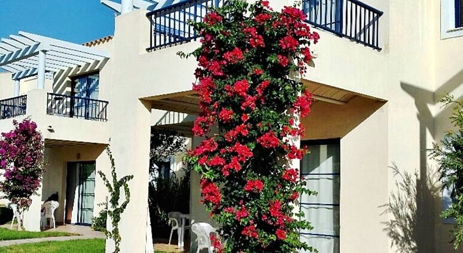 Apartamentos Primasud Punta Prima  Exteriér fotografie